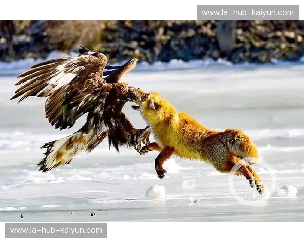 巅峰对决，传奇对决：韦德vs.哈登，闪耀的得分艺术与领袖风采